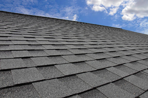 Best Roof Moss and Algae Removal  in Mound Bayou, MS